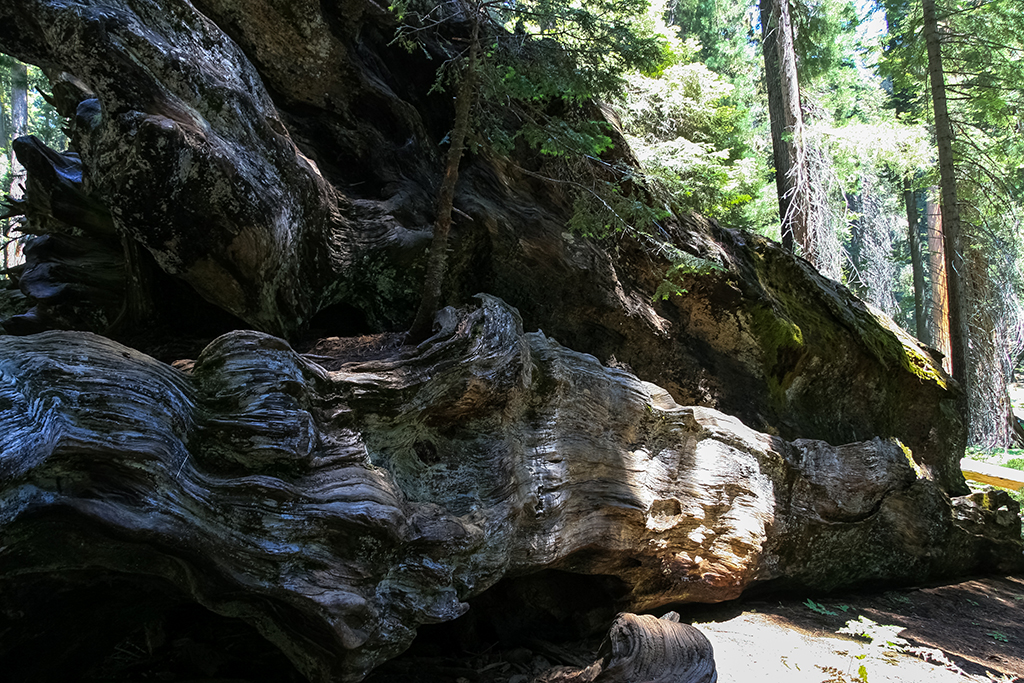 07-02 - 14.JPG - Sequoia National Park, CA